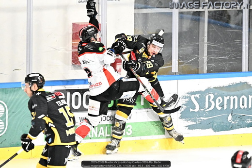 2025-02-08 Mastini Varese-Hockey Caldaro 3305 Alex Bertin
